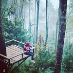 Dede Villa - @villadede - Instagram