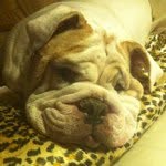 @dedeward52 - Instagram