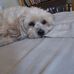 Dede Washington - Facebook