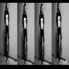 dedewest - @dedewest - TikTok