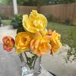 DeDe Whitaker - @ddwtxan2c - Instagram