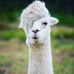 Dedrick Jackson - @iamthatguy28 - Instagram