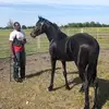 Dee Bates - @dee.bates2 - TikTok