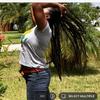 Dee beach - @debeachdee - TikTok