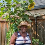 Dee Bee - Facebook