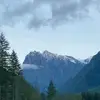deedeebender2 - @deedeebender2 - TikTok