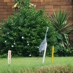 Geldenhuis Deep Bowling Club - @geldenhuisdeepbowlingclub - Instagram