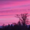 Dee Brady - @dee.brady2 - TikTok