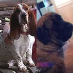 Dee&Brady - @cutenessoverload12345 - Instagram