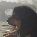 Dee Burke - @deeburke42 - Instagram
