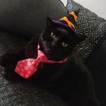 Dee Butler - @dee.butler.16 - Instagram