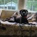 Dee Butler - Facebook