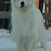deecahill298 - @deecahill298 - TikTok
