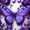 Dee Cooper - @dee.cooper70 - TikTok