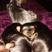 Dee Crist - Facebook