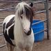 Dee Crist - Facebook