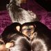 Dee Crist - Facebook