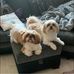 Dee Curley - Facebook