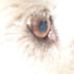 Dee A Houser Doss - Facebook