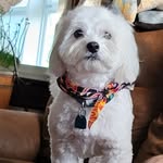 Dee Fields Doss - @fieldstillerydoss - Instagram
