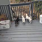 Dee Dougherty - @dee.ewing.10 - Instagram