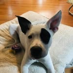 Dee Dougherty - @deedough12 - Instagram