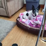 Dee Downing - @madison00uk - Instagram