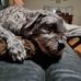 Dee Doyle - Facebook