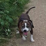 Dee Early - @s0ph1e.m1 - Instagram