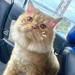 deexoxo._ - @dee.elysian - Instagram