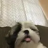 Hi - @deeely671 - TikTok