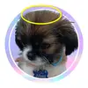 deeennis_ - @deeennis_ - TikTok