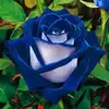 Dee Espinoza - @dee.espinoza3 - TikTok