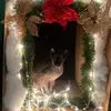 Dee Flores - @dee.flores01 - TikTok