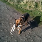 Dee Fulford - Facebook