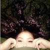 Deedeegoble - @deedeegoble1536 - TikTok