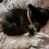 deegregory720 - @deegregory720 - TikTok