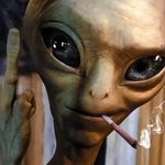deegregory - @deegregory671 - Instagram