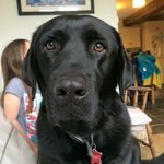 Dee Griffiths - @deedog71 - Instagram