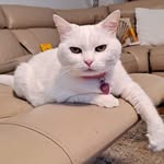 Dee Grubbs - @dee21002700 - Instagram