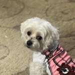 Dee K Grubbs - @deekgrubbs - Instagram