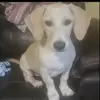 Deena HAMMOND - @deena.hammond5 - TikTok