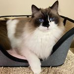 Dee Hanson - @grem_fuzzbutt - Instagram
