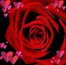 Dee Harris - Facebook