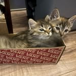 Dee Hedrick - @dee374734 - Instagram