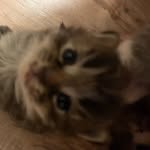Dee Hedrick - @dee87342686 - Instagram