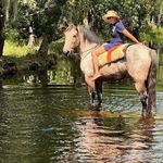 Dee Hendricks Beaulieu - @beaulieudee - Instagram