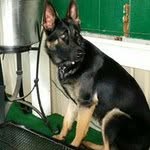 Dee - @deeherrera_0309 - Instagram