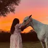 deeherrera_ - @deeherrera_ - TikTok