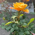Dee Ann Herring - @adventurequeenonthego - Instagram